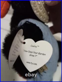 Ty Beanie Babies Cawley The Crow 1993 Retired With Tag Erros Extremely Rare