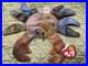 Ty-Beanie-Babies-Claude-The-Crab-DOB-9-3-1996-Mint-Condition-Rare-Tag-Errors-01-vz
