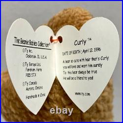 Ty Beanie Babies Curly Bear DOB April 1996 Hang/93 Tush Tag Errors Rare HTF 4052