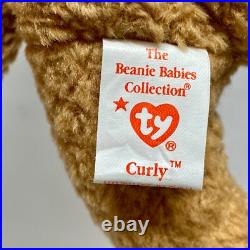 Ty Beanie Babies Curly Bear DOB April 1996 Hang/93 Tush Tag Errors Rare HTF 4052