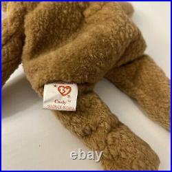 Ty Beanie Babies Curly The Bear 4052 Rare With Errors (tag, nose, tush tag)