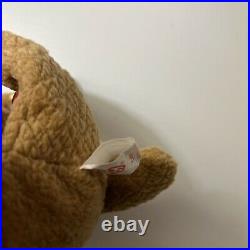 Ty Beanie Babies Curly The Bear 4052 Rare With Errors (tag, nose, tush tag)