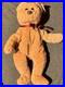 Ty-Beanie-Babies-Curly-The-Bear-Plush-Toy-4052-EXTREMELY-RARE-WITH-ERRORS-01-tfvx