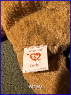 Ty Beanie Babies Curly The Bear Plush Toy 4052 EXTREMELY RARE WITH ERRORS