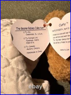 Ty Beanie Babies Curly The Bear Plush Toy 4052 EXTREMELY RARE WITH ERRORS