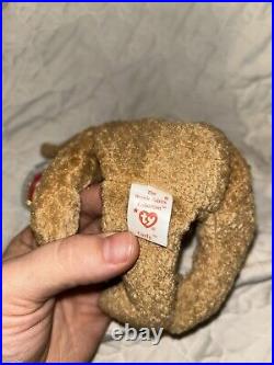 Ty Beanie Babies Curly The Bear Plush Toy 4052 Rare Defects