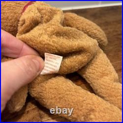 Ty Beanie Babies Curly The Bear Plush Toy Rare With Errors