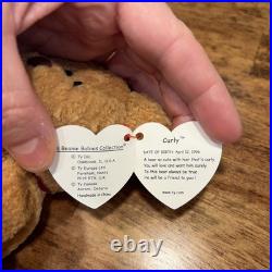 Ty Beanie Babies Curly The Bear Plush Toy Rare With Errors