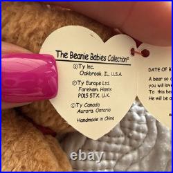 Ty Beanie Babies Curly the Bear Plush Toy Vintage 4052 Rare With Errors