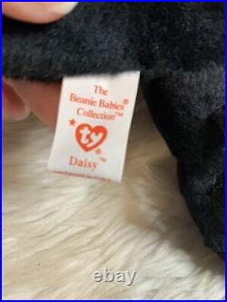 Ty Beanie Babies Daisy The Cow Rare Retired With Tag Errors 1993