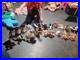 Ty-Beanie-Babies-Doby-friends-all-27-very-rare-with-tags-and-errors-01-wkdi