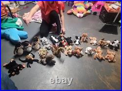 Ty Beanie Babies Doby friends all 27 very rare with tags and errors