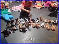 Ty Beanie Babies Doby friends all 27 very rare with tags and errors