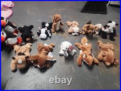 Ty Beanie Babies Doby friends all 27 very rare with tags and errors