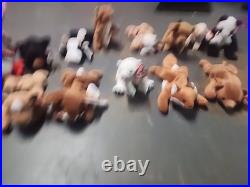Ty Beanie Babies Doby friends all 27 very rare with tags and errors