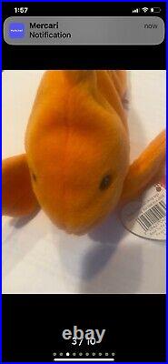 Ty Beanie Babies Goldie the Goldfish 4023 PVC Pellets RARE Mint Ty Beanie Babies Goldie the Goldfish 4023 PVC Pellets RARE Mint