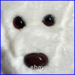Ty Beanie Babies Halo Angel White Bear 1998 BROWN Nose RARE ERRORS Retired Baby Ty Beanie Babies Halo Angel White Bear 1998 BROWN Nose RARE ERRORS Retired Baby