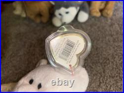 Ty Beanie Babies Halo the Angel Bear Toy (Tag Errors, Brown Nose, RARE) Ty Beanie Babies Halo the Angel Bear Toy (Tag Errors, Brown Nose, RARE)