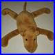 Ty-Beanie-Babies-Humphrey-the-Camel-Rare-1st-Generation-with-Tush-Tag-1993-Baby-01-dqp