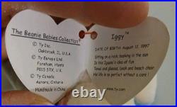 Ty Beanie Babies Iggy Rainbow Iguana 1997 RARE, ERRORS Excellent Retired, Baby