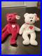 Ty-Beanie-Babies-Lot-Of-2-Super-Rare-With-Error-Tag-Brown-Nose-And-pe-Pellets-01-kfyg