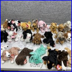 Ty Beanie Babies Lot of 32 Beanie Babies Dogs RARE Mint Condition Tags