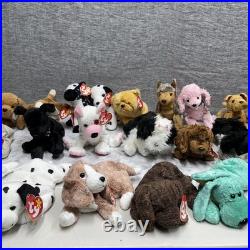 Ty Beanie Babies Lot of 32 Beanie Babies Dogs RARE Mint Condition Tags