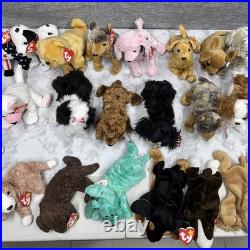 Ty Beanie Babies Lot of 32 Beanie Babies Dogs RARE Mint Condition Tags