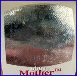 Ty Beanie Babies MOTHER -HTF- ERRORS RARE 2002 Retired MWMT #124-2