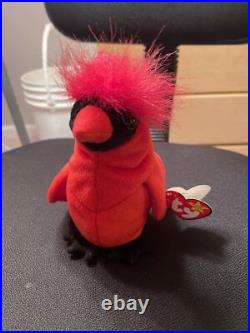Ty Beanie Babies Mac The Cardinal 1998 All Errors RARE