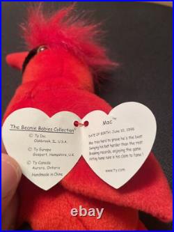 Ty Beanie Babies Mac The Cardinal 1998 All Errors RARE