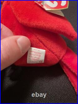 Ty Beanie Babies Mac The Cardinal 1998 All Errors RARE