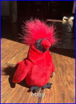 Ty Beanie Babies Mac The Cardinal Plush Toy Rare Errors