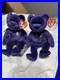 Ty-Beanie-Babies-Princess-Bear-Toy-Rare-Princess-Diana-01-ku