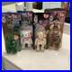 Ty-Beanie-Babies-Rare-Britannia-Maple-Erin-Glory-Package-1999-Bear-Tag-01-ajcu