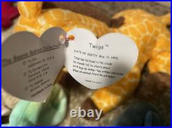 Ty Beanie Babies Rare Bundle! Patti, Iggy, Rainbow, Twigs, Valentina, Clubby