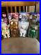Ty-Beanie-Babies-Rare-Collection-Of-4-Rare-Bears-Mint-Condition-01-nqe
