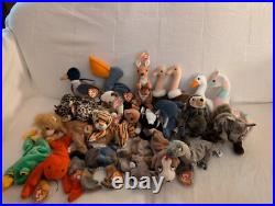 Ty Beanie Babies Rare Lot Includes Slowpoke Pouch withJoey Scoop & Jake /See Pics