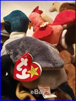 Ty Beanie Babies Rare Retired Jake w Tag ERRORS PVC 1st EDITION GREAT GIFT