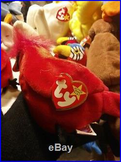 Ty Beanie Babies Rare Retired Mac the Cardinal w Tag Errors Best UNIQUE Gift