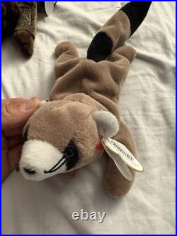Ty Beanie Babies Ringo Raccoon 1995 RARE, ERRORS (Retired, Baby)