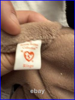 Ty Beanie Babies Ringo Raccoon 1995 RARE, ERRORS (Retired, Baby)