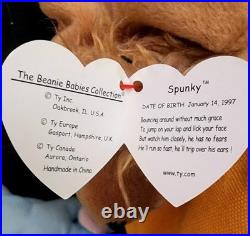 Ty Beanie Babies Spunky Dog Spaniel 1997 RARE, ERRORS (Excellent Retired Baby)