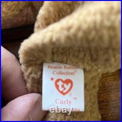 Ty Beanie Babies Vintage Bear Plush Toys Rare Tag Error ST And Tush Tags