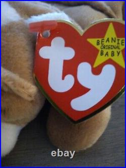 Ty Beanie Babies Wrinkles Bulldog Rare Tag Errors