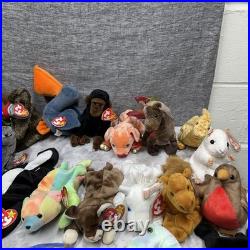 Ty Beanie Babies Zoo Safari Farm Dinosaur Birds Animals RARE Mint Condition