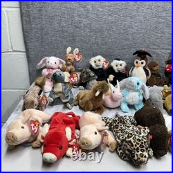 Ty Beanie Babies Zoo Safari Farm Dinosaur Birds Animals RARE Mint Condition