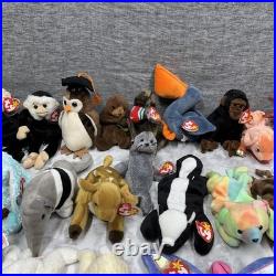 Ty Beanie Babies Zoo Safari Farm Dinosaur Birds Animals RARE Mint Condition