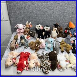 Ty Beanie Babies Zoo Safari Farm Dinosaur Birds Animals RARE Mint Condition