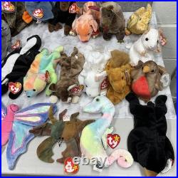 Ty Beanie Babies Zoo Safari Farm Dinosaur Birds Animals RARE Mint Condition